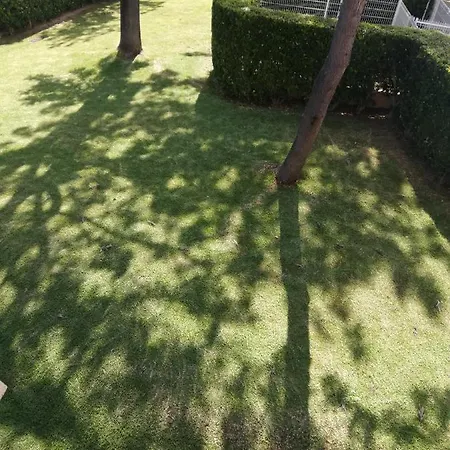 V2 Aa * Olhos de Agua (Albufeira)